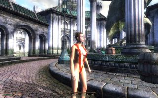 Oblivion's sexy clothing/ Strap bathing suit for Exnem Body